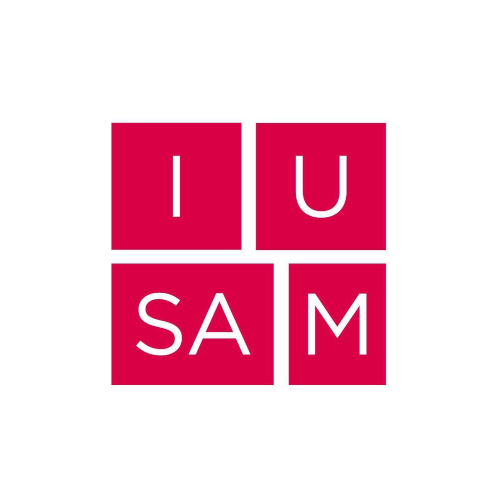Instituto Universitario de Salud Mental