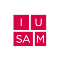 Logo Instituto Universitario de Salud Mental